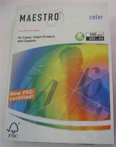 Igepa Maestro Color A4 160g/m² 250 Blatt grau