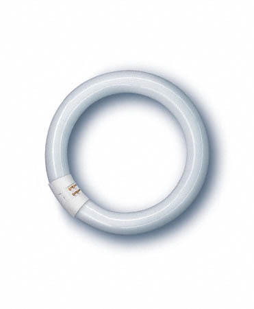 Osram Energiesparlampe Lumilux  Ring  22W
